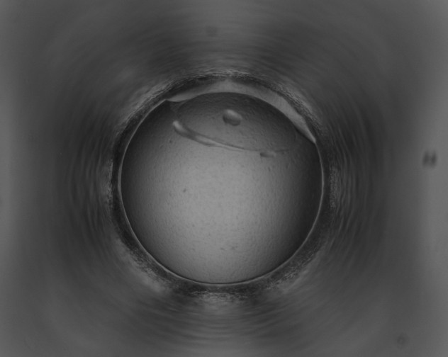 X0000091650490200708301421