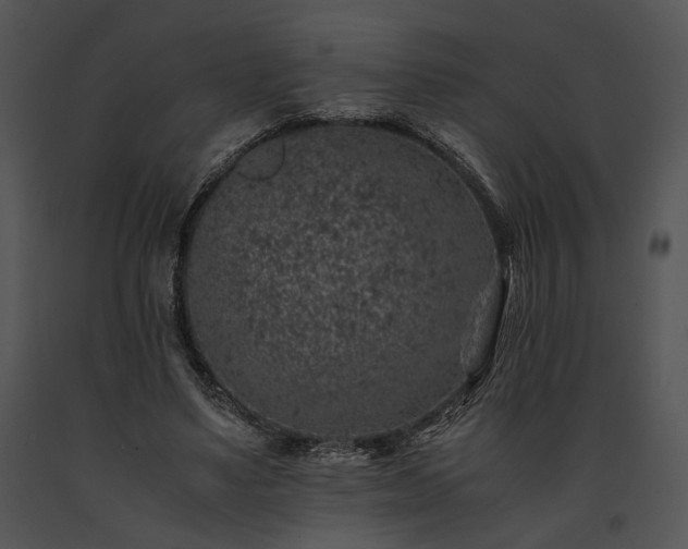 X0000091650491200708301421