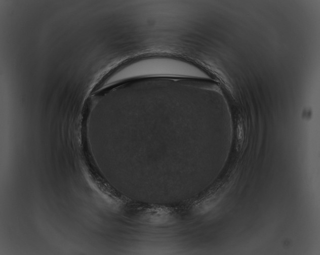 X0000091650492200708301421