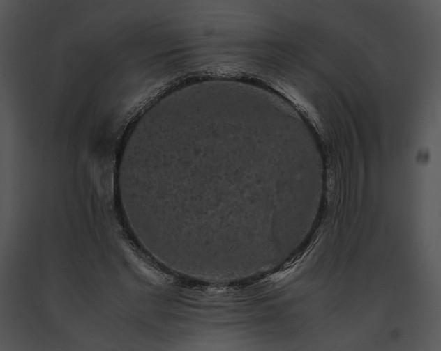 X0000091650493200708301421