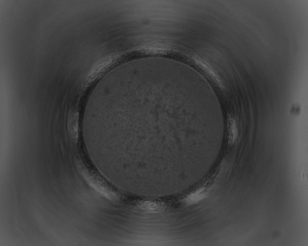 X0000091650494200708301421