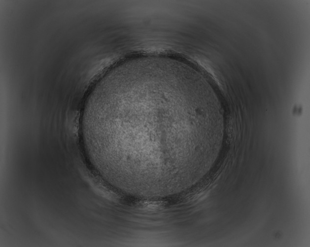 X0000091650495200708301421