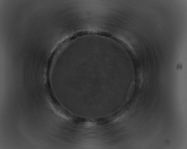 X0000091650496200708301421