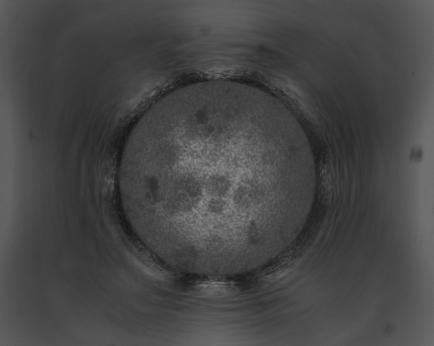 X0000091650499200708301421