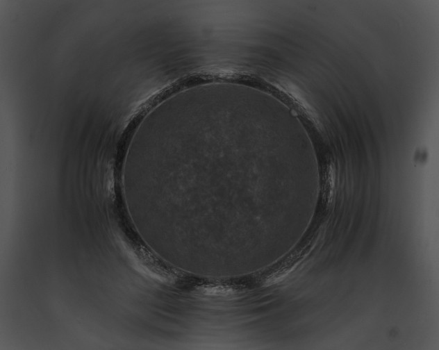 X0000091650500200708301421