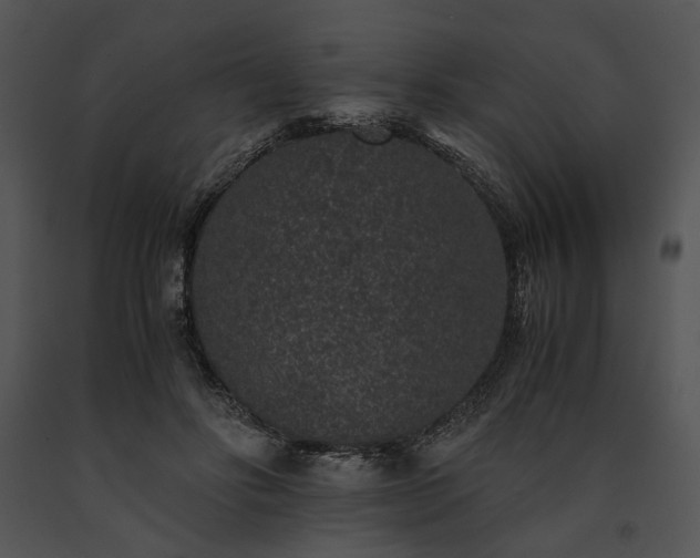 X0000091650502200708301421