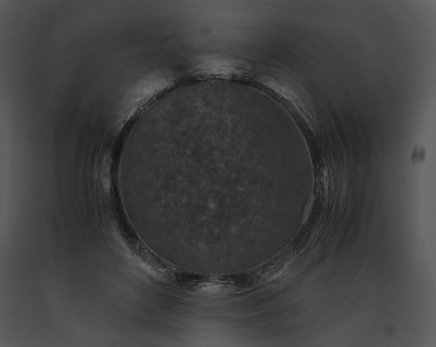 X0000091650504200708301421