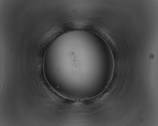X0000091650505200708301421