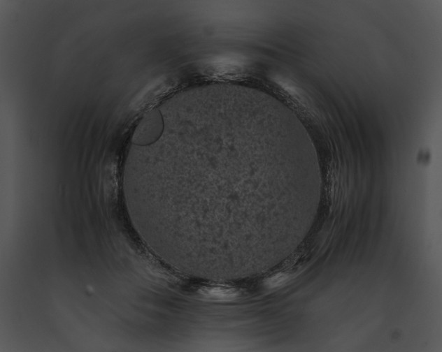 X0000091650506200708301421
