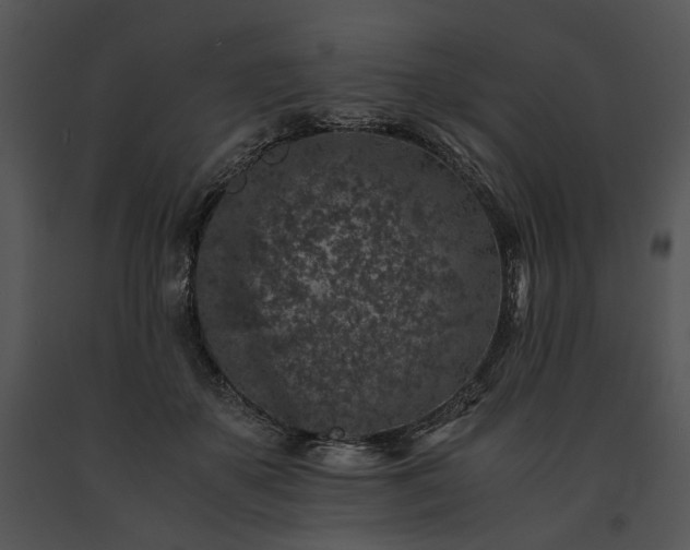 X0000091650507200708301421