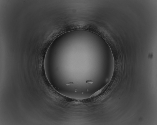 X0000091650509200708301421