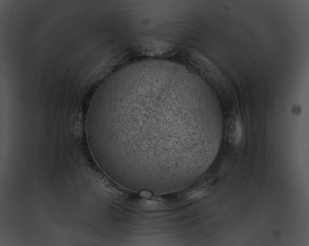 X0000091650510200708301421