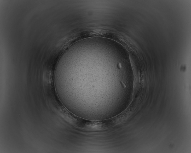 X0000091650514200708301421