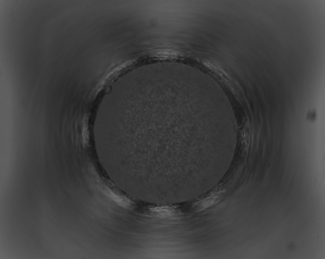 X0000091650516200708301421