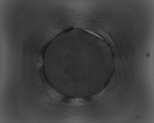X0000091650517200708301421