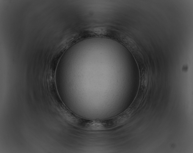 X0000091650518200708301421