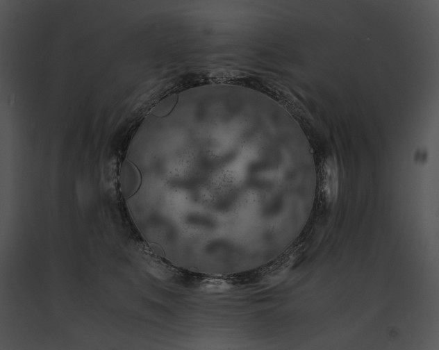 X0000091650519200708301421