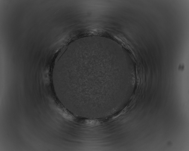 X0000091650520200708301421