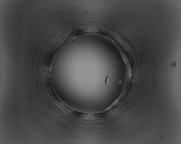 X0000091650521200708301421