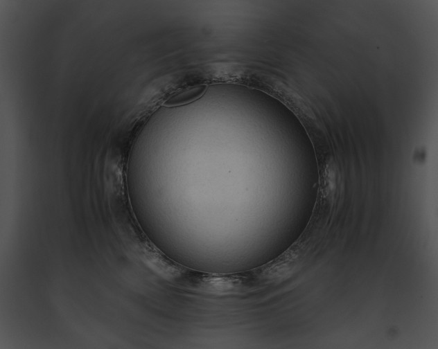 X0000091650522200708301421