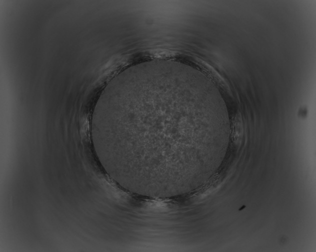 X0000091650523200708301421