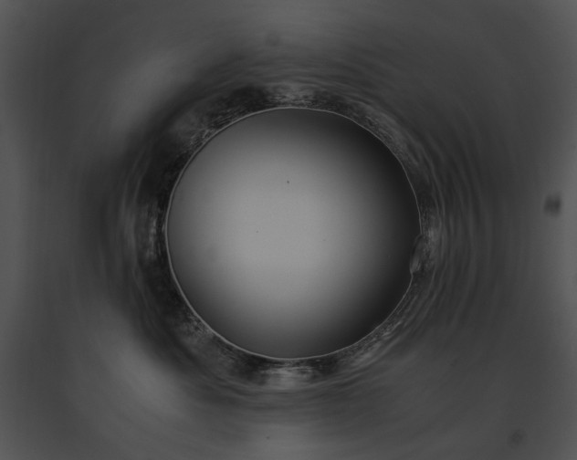 X0000091650525200708301421