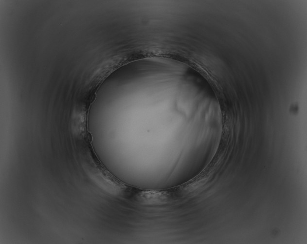 X0000091650526200708301421