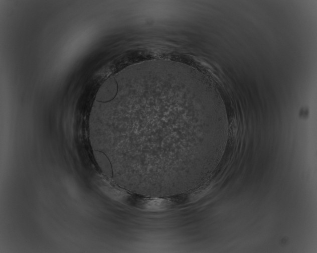 X0000091650527200708301421