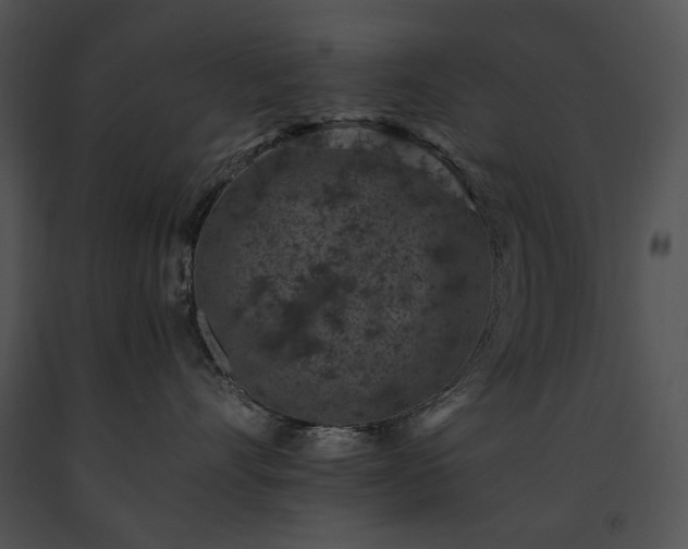X0000091650528200708301421