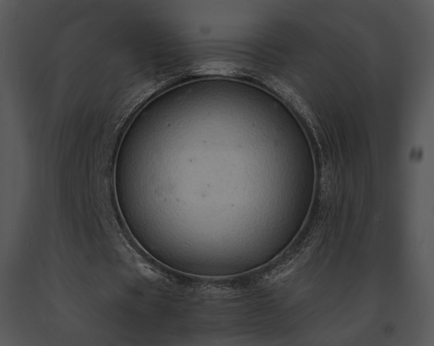X0000091650529200708301420