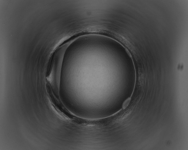 X0000091650530200708301420