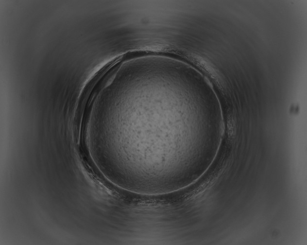 X0000091650532200708301420