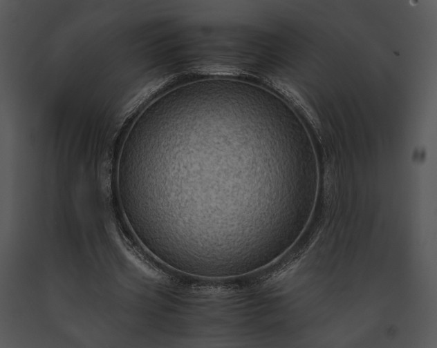 X0000091650533200708301420