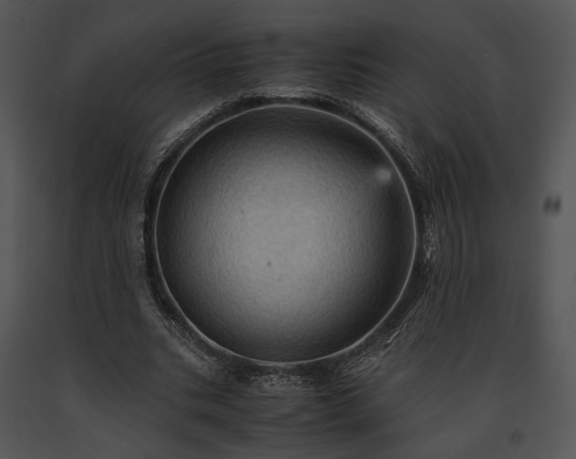 X0000091650535200708301420