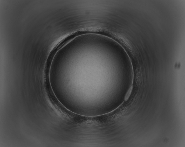 X0000091650536200708301420