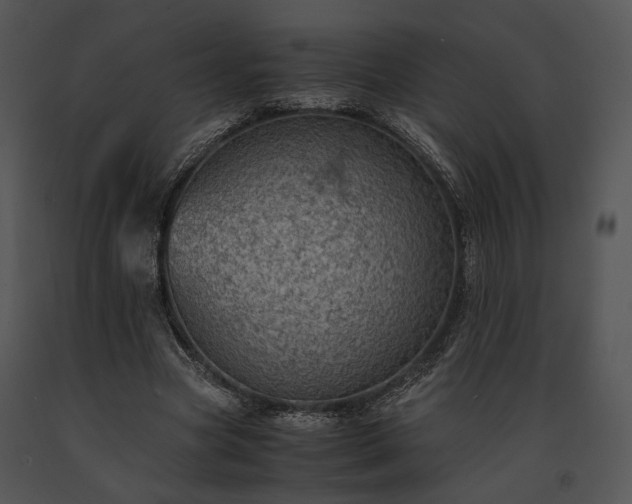 X0000091650537200708301420