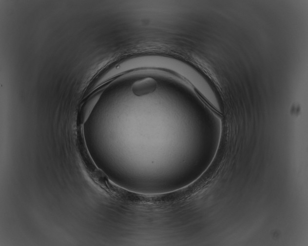 X0000091650538200708301420
