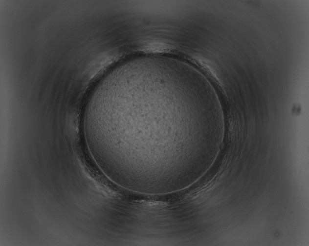 X0000091650539200708301420