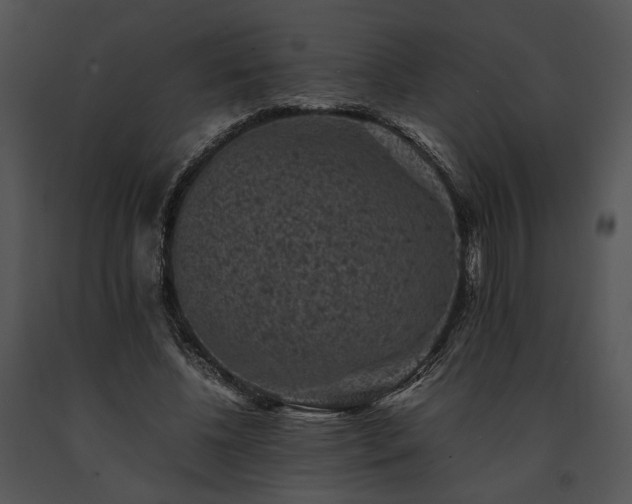 X0000091650540200708301420
