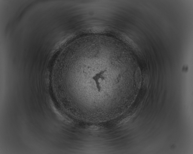 X0000091650542200708301420