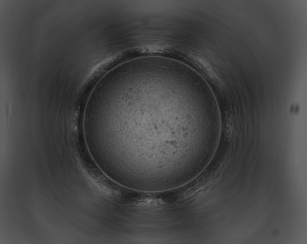 X0000091650543200708301420
