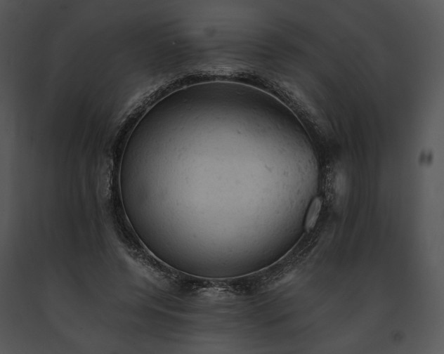 X0000091650544200708301420