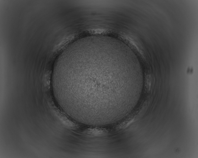 X0000091650545200708301420