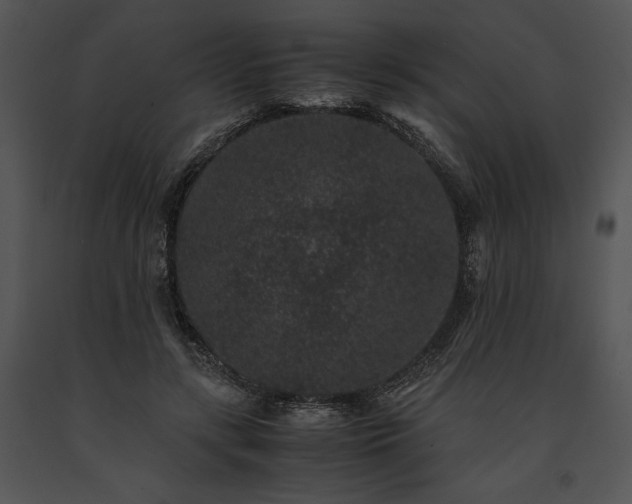 X0000091650547200708301420