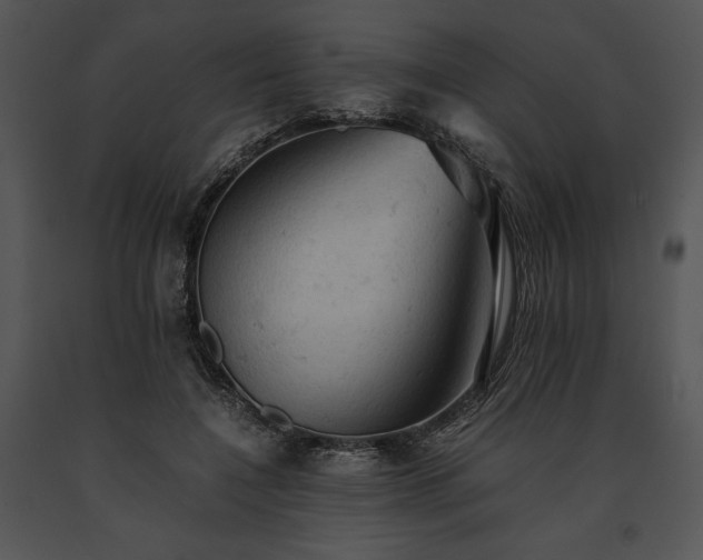 X0000091650548200708301420