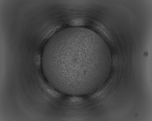 X0000091650549200708301420
