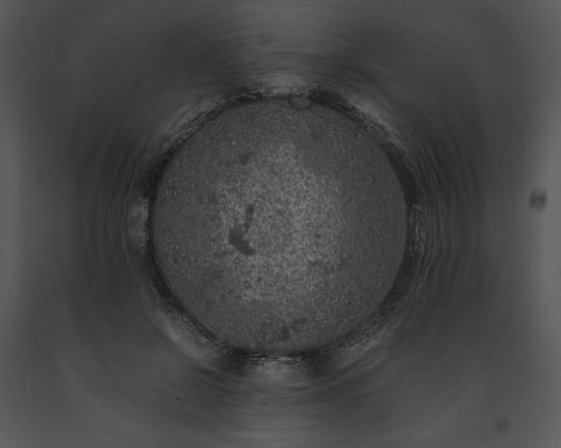 X0000091650550200708301420