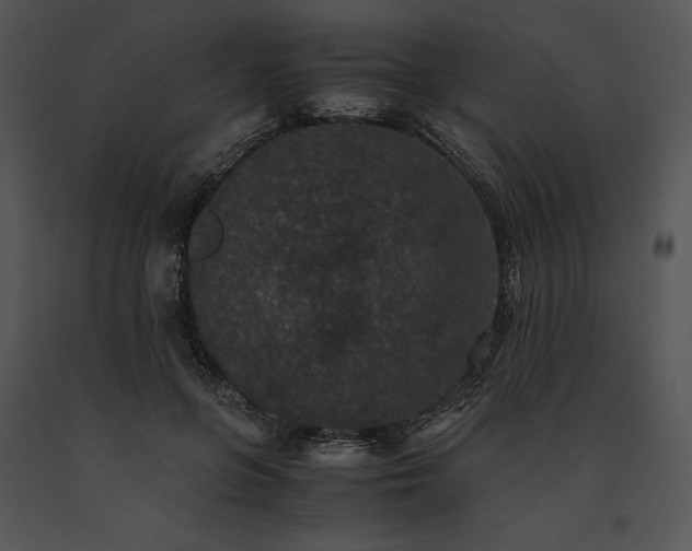 X0000091650551200708301420