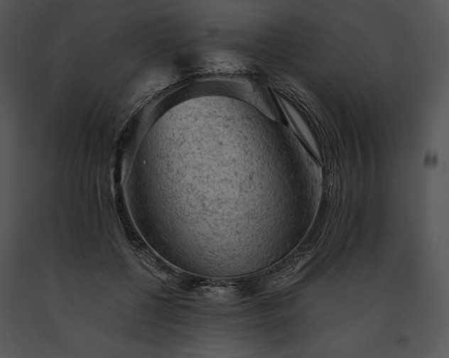 X0000091650552200708301420