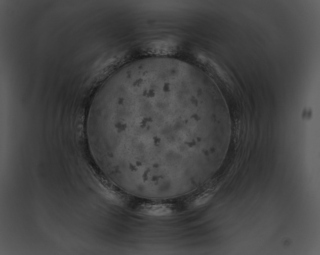 X0000091650553200708301420
